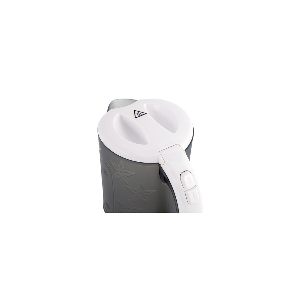 Bouilloire Aigostar Cooltravel - Bouilloire compacte de voyage de 0.6 L, 0%  BPA. Tasses et cuillères incluses. Design exclusif.